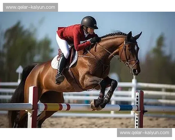 马术首发：从心出发，遇见真正的优雅